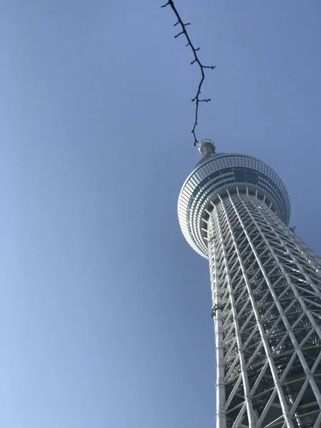 Tokyo, Japonya 'daki Skytree Kulesi. 16 Aralık 2017 — Stok fotoğraf