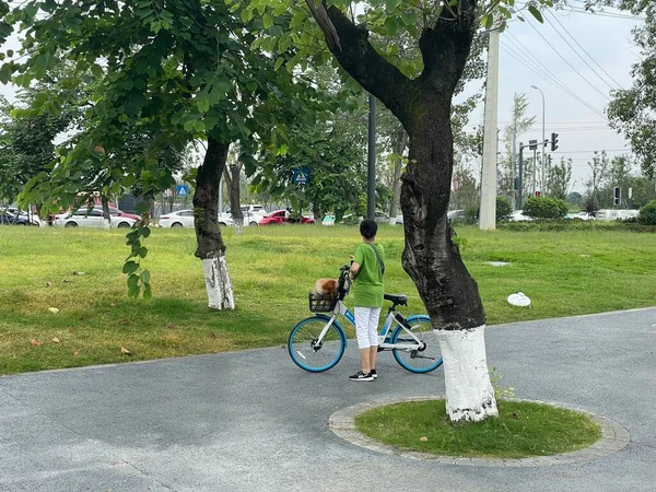 Парк в Чэнду, Китай. Кадр из фильма "11 Сеп", 2021 год — стоковое фото