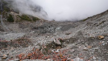 Batı Sichuan, Çin 'de yemyeşil bir yağmur ormanı.