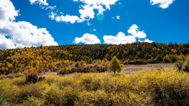 Batı Sichuan Eyaleti, Çin 'de asfalt yol
