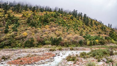 Batı Sichuan Eyaleti, Çin 'de asfalt yol