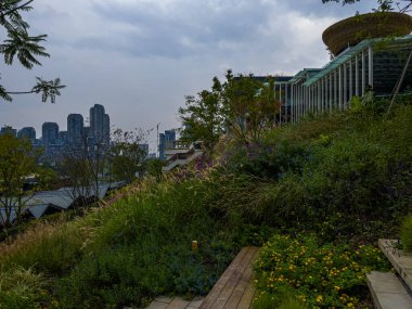 Chengdu, Çin 'deki şehir parkı. 16 Ekim 2021