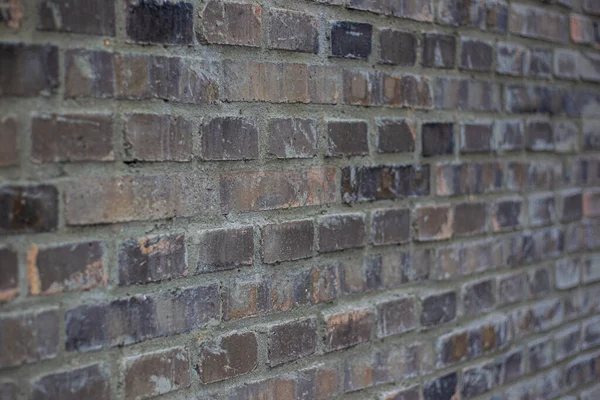 Yeşil sulu bitkilerle kaplı eski tuğla duvar