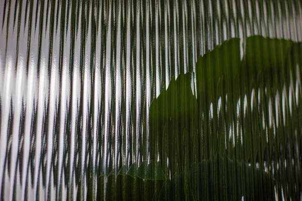 Glass and leaf — Stock Photo, Image