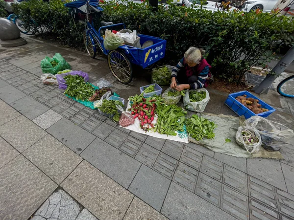 老太太卖蔬菜，成都中国。2021年10月17日 — 图库照片