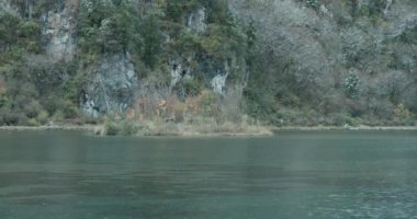 Ormanın ortasındaki göl manzarası..