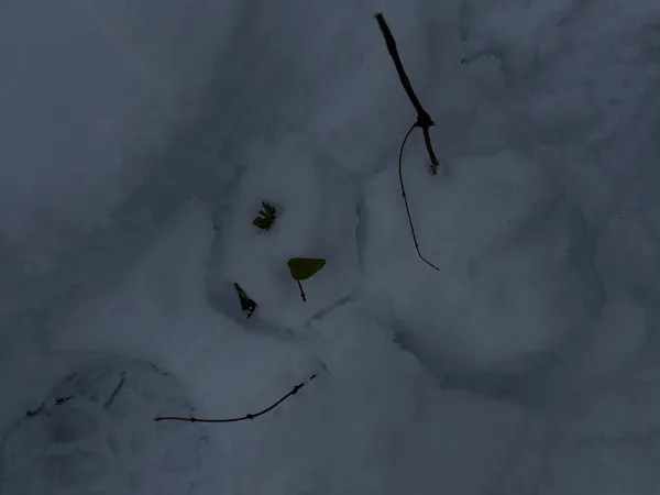 Bosque cubierto de nieve. Lago congelado con huellas de pie en nieve espesa — Foto de Stock