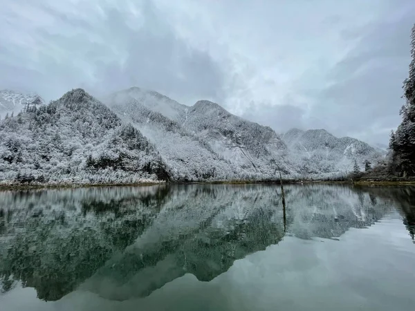 Karla kaplı orman. Yoğun karda ayak izleri olan donmuş göl.