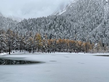 Karla kaplı orman. Yoğun karda ayak izleri olan donmuş göl.