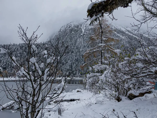 Schneebedeckte Wälder. Zugefrorener See mit Fußspuren im dichten Schnee — Stockfoto