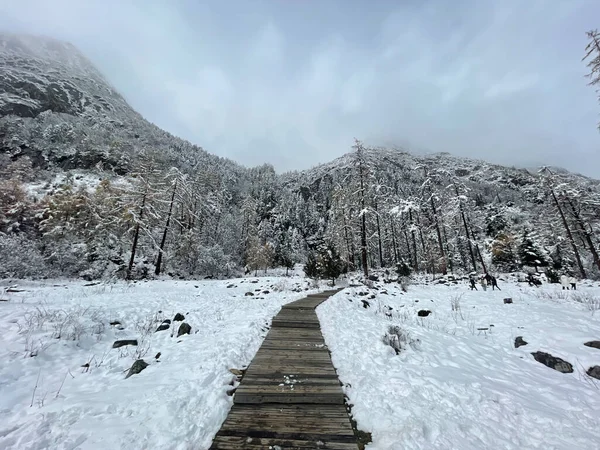 Schneebedeckte Wälder. Zugefrorener See mit Fußspuren im dichten Schnee — Stockfoto