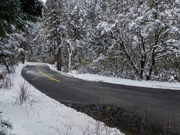 Karla kaplı orman. Yoğun karda ayak izleri olan donmuş göl.