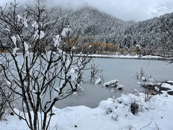 Zasněžený les. Zmrazené jezero s stopy nohou v hustém sněhu — Stock fotografie
