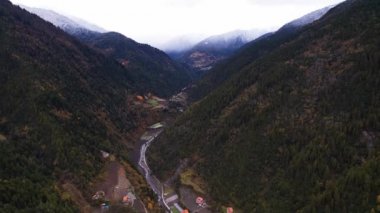 Sonbahar ormanı insansız hava aracı görüntüsü