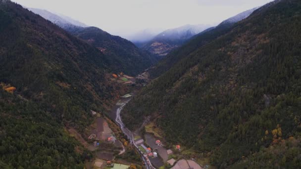 Bosque otoñal vista aérea del dron — Vídeos de Stock