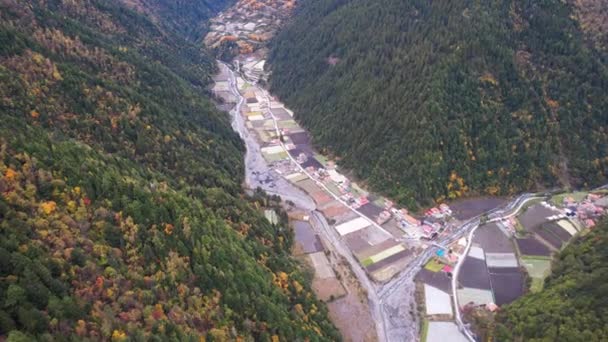 Outono floresta aérea drone vista — Vídeo de Stock