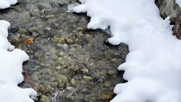 积雪覆盖的森林。冰封的湖面，雪地上有脚印 — 图库视频影像