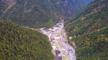 Sonbahar ormanı insansız hava aracı görüntüsü