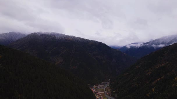 Outono floresta aérea drone vista — Vídeo de Stock