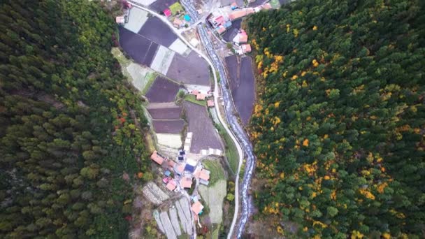 Bosque otoñal vista aérea del dron — Vídeo de stock