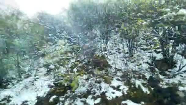 Bosque cubierto de nieve. Lago congelado con huellas de pie en nieve espesa — Vídeo de stock
