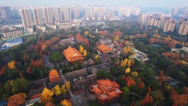 Tipikal Arsitektur Cina yang terletak di Chengdu, Cina — Stok Video