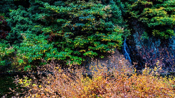 Japanischer Garten in Kyoto, Japan — Stockfoto