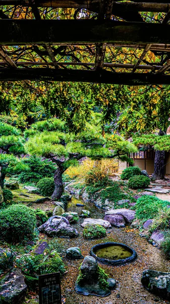 京都の日本庭園 — ストック写真