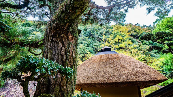 Jardín japonés en Kyoto, Japón —  Fotos de Stock