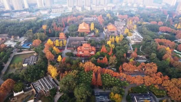 Letecké Video Čínského Buddhistického Zenového Chrámu Čínštině Vysoce Kvalitní Záběry — Stock video