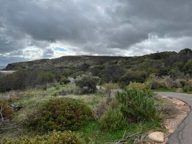 Hallett Cove Boardwalk at sunset, South Australia. High quality photo