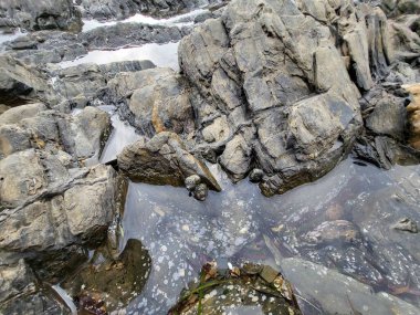 İkinci Vadi Plajı, Adelaide Güney Avustralya