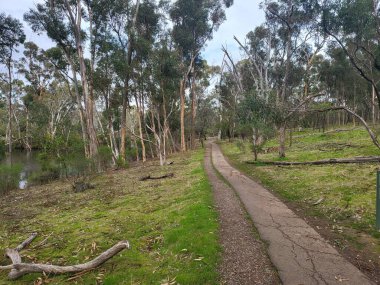 Adelaide 'deki Belair Ulusal Parkı. Yüksek kalite fotoğraf
