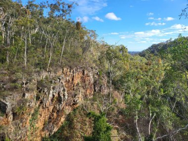 Adelaide 'deki Belair Ulusal Parkı. Yüksek kalite fotoğraf