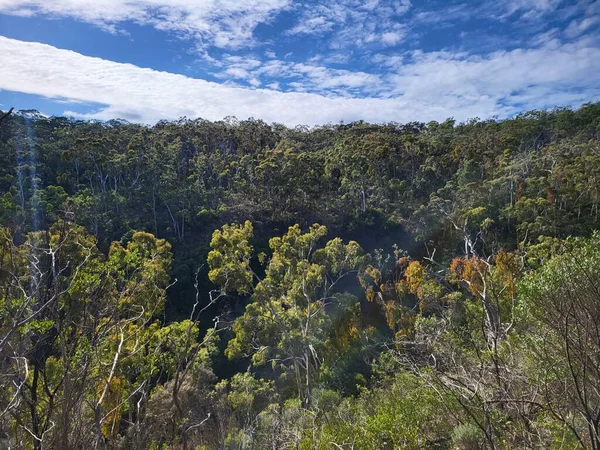 Национальный Парк Белэйр Аделаиде Высокое Качество Фото — стоковое фото