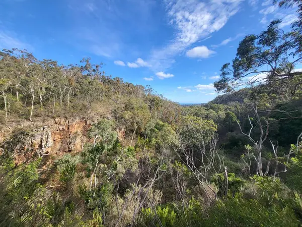 Belair Nationalpark Adelaide Hochwertiges Foto — Stockfoto