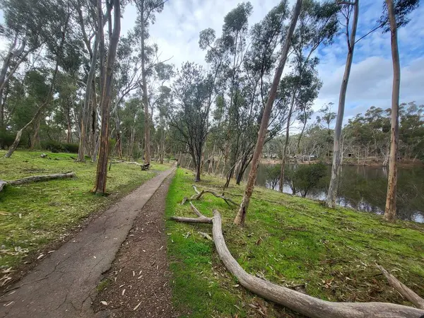 Nationaal Park Belair Adelaide Hoge Kwaliteit Foto — Stockfoto