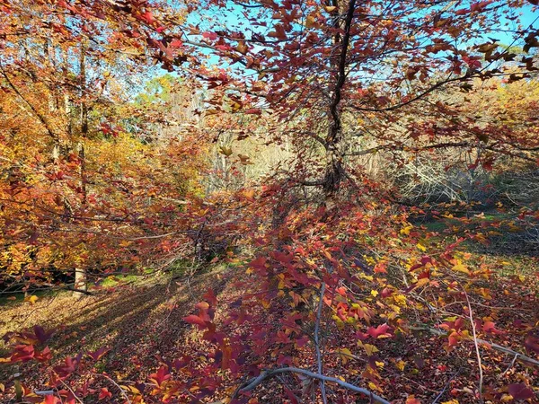 Summer picnic basket with straw hat in a field. High quality photo
