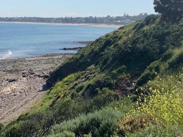 Vista Paisagem Natural Bela Praia Adelaide Austrália Foto Alta Qualidade — Fotografia de Stock