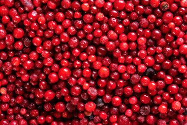 Donmuş yaban mersini, kusurlu böğürtlen, gerçek fotoğraflar sahnelenmez..