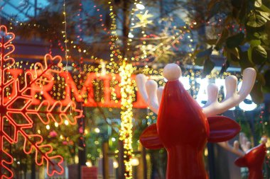 Bir alışveriş merkezinde çekilmiş bir Noel bahçesi fotoğrafı..