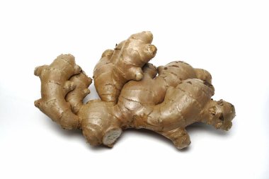 Beyaz arkaplanda Ginger 'ın fotoğrafı