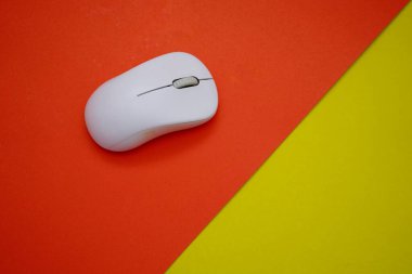 Fare resimleri farklı renkli kağıtlara yerleştirilir.