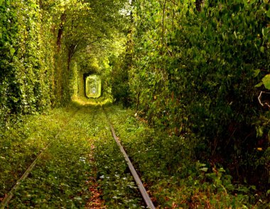 Klevan, Ukrayna 'da Aşk Tüneli. Yazın demiryolunun etrafındaki ağaçlardan oluşan doğal bir tünel. Uzun yürüyüşler ve meditasyon için romantik bir yer. Ağaçların ve çalıların muhteşem yeşil gölgesi.