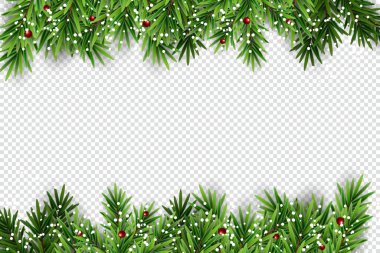 Şeffaf arka planda izole edilmiş modern gerçekçi tarzda parlayan ışıklarla dolu Firavun dalları