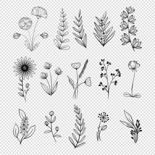 Hand Drawn Flower Collection Vector Illustration Editable — Vettoriale Stock