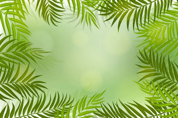 Prachtige Palm Tree Leaf Achtergrond Template Ontwerp — Stockvector