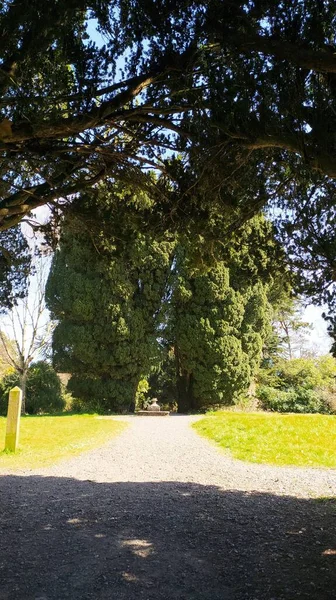 Argory Skogspark Stigen Skogen Nordirland — Stockfoto