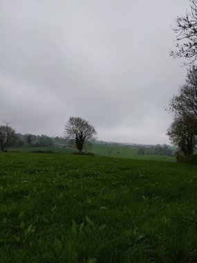 Gölet, Parkanur Orman Parkı, Kuzey İrlanda.