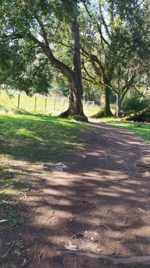 Argory Country Parkı.